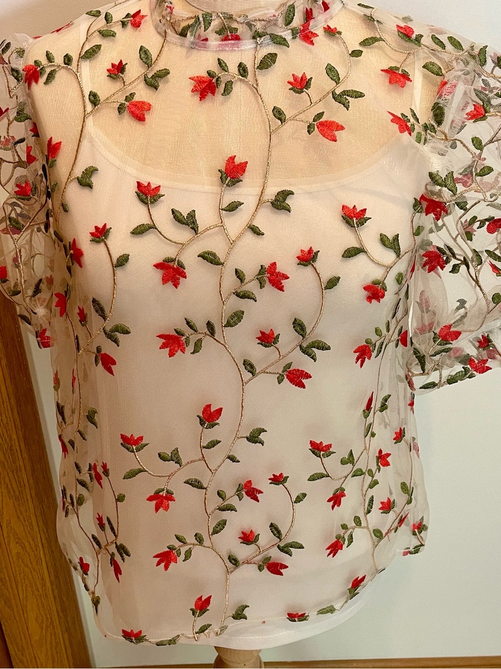 Endless Rose Sheer Floral Embroidered Top in Red and Green
